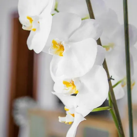 Luxurious Close To The Sea Apartament